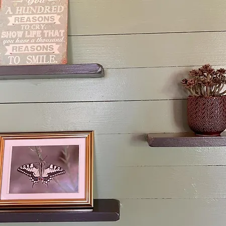 De Vlinder ラグジュアリーテント