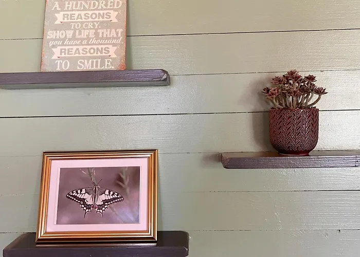 De Vlinder ラグジュアリーテント